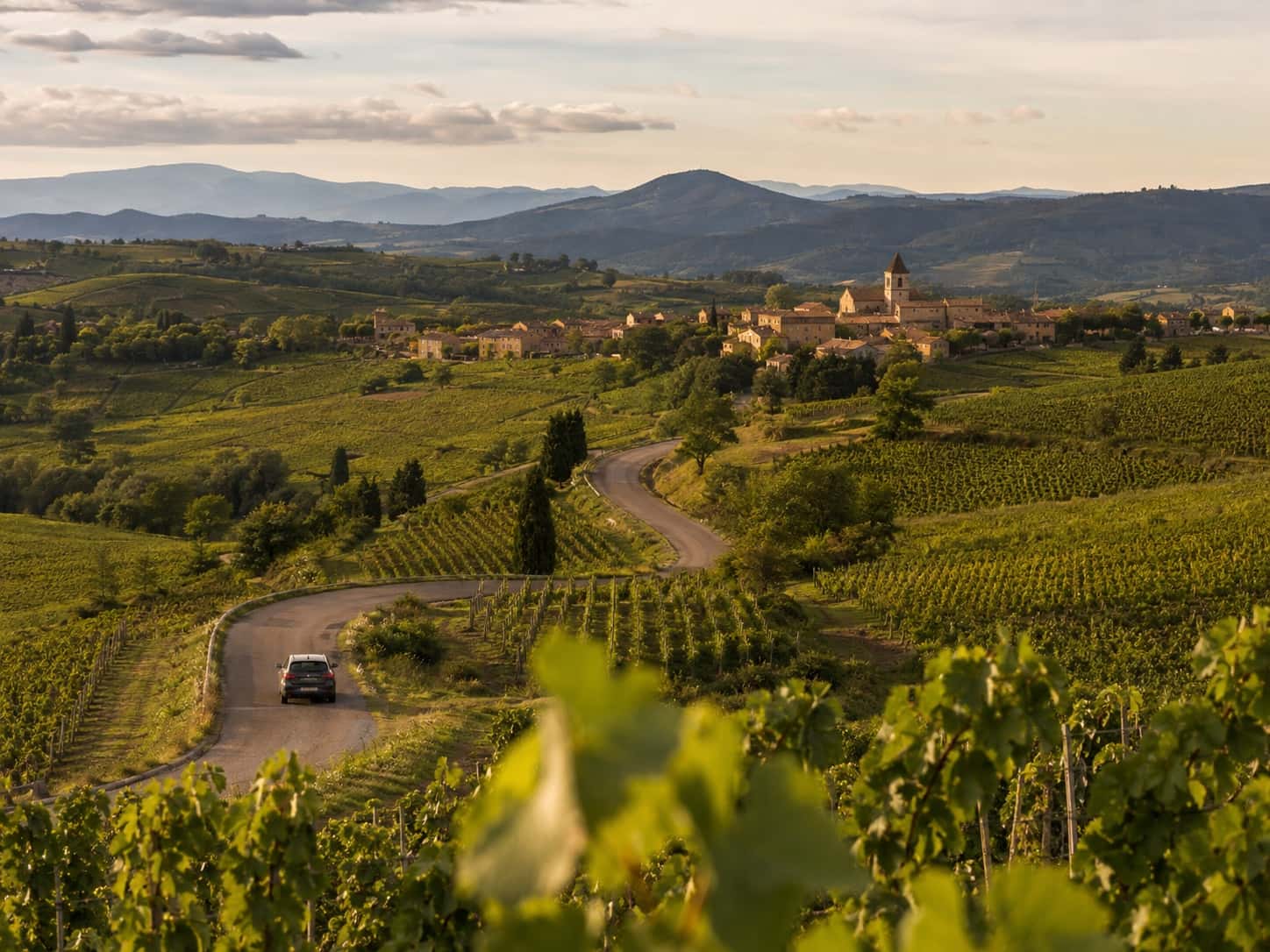Beaujolais wine route map: how to choose among the 7 circuits
