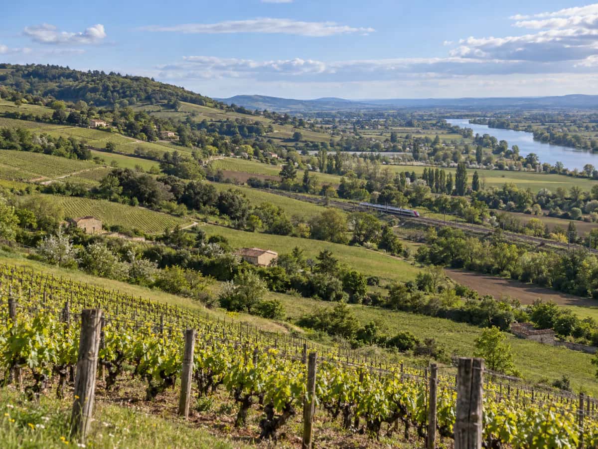 Where Is the Beaujolais Wine Region?